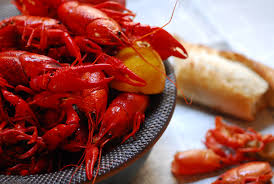 Image result for crawfish